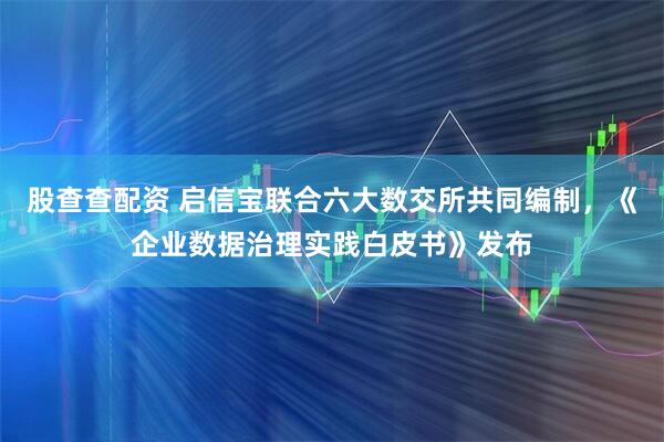 股查查配资 启信宝联合六大数交所共同编制，《企业数据治理实践白皮书》发布