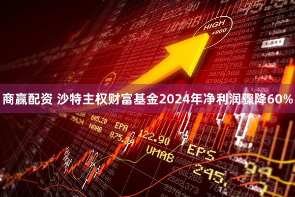 商赢配资 沙特主权财富基金2024年净利润骤降60%