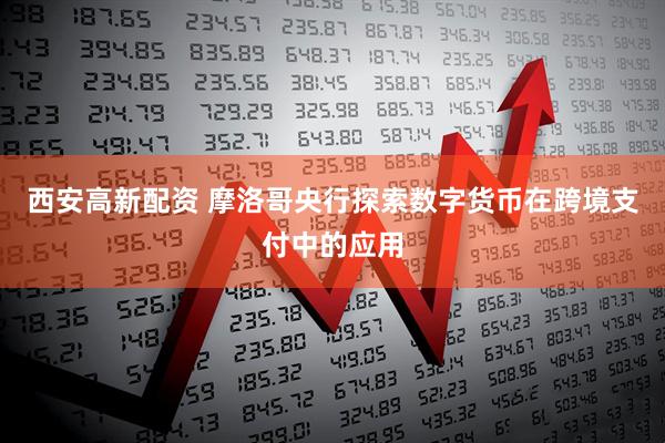 西安高新配资 摩洛哥央行探索数字货币在跨境支付中的应用